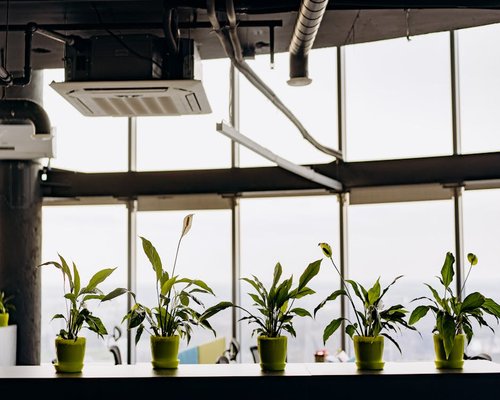 A well-lit corner of a modern office space in Jakarta showing indoor plants